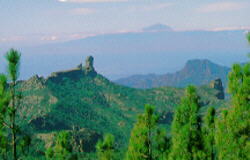 nature1.jpg (8408 octets)